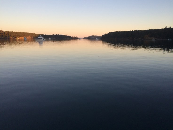 d8ccfa2c-6a08-436b-ab3e-24472d23a5db