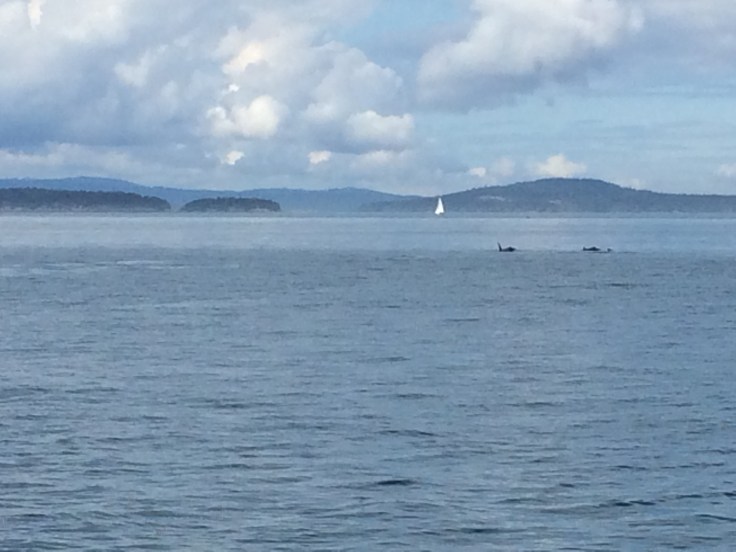 f505e804-e1f4-4e7e-8f07-fca818043299