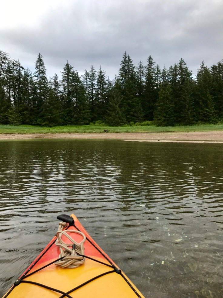 2BBE3A78-ACAB-4E70-9FE1-8AEB1B952E5B