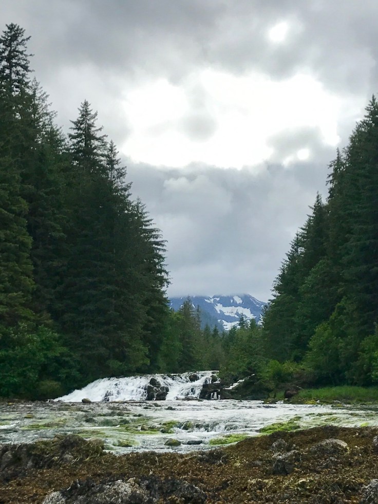 ADEEB46C-CD20-4DD0-9133-61175A4E5F61