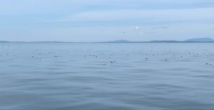 Image 7-24-19 at 11.08 PM