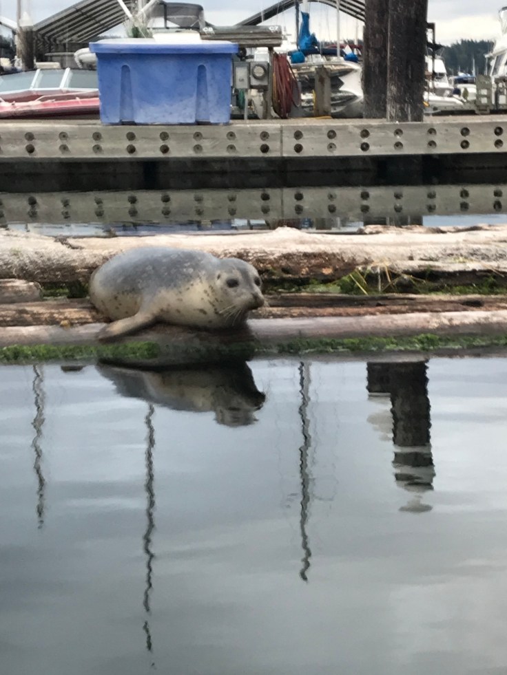 t7vyK5ELQFK4WC7wXuSCkA