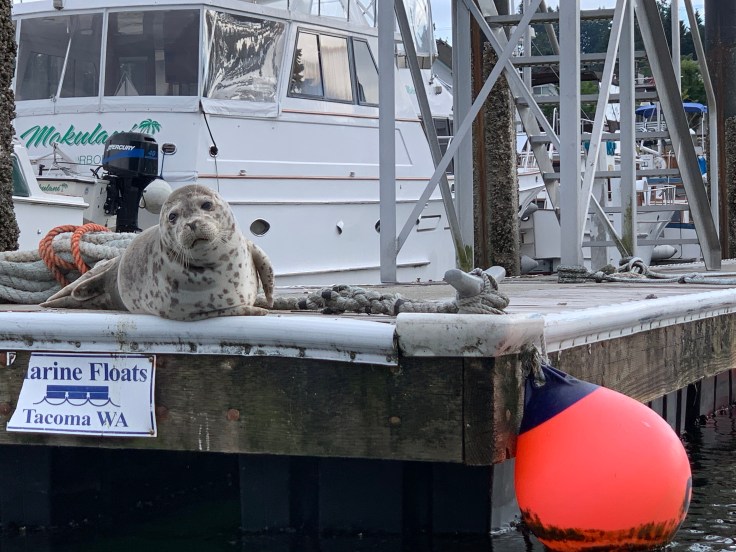 un+AEbpBQAGbqhjCw4DS0A