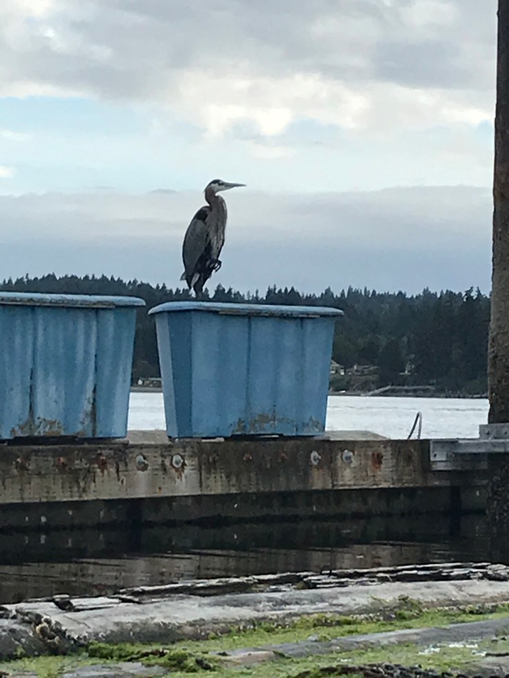 VkLKKyr9SLKSabq0hCL3Rw