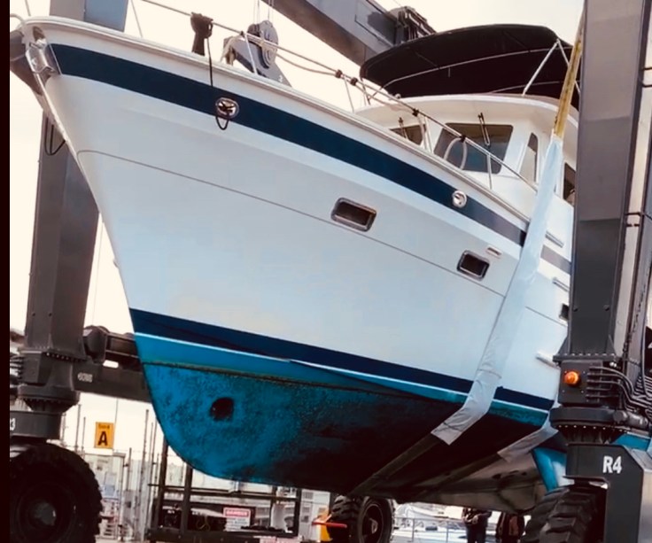 A5DDEA4F-531D-4896-A08D-1221CDC24A2F_1_201_a