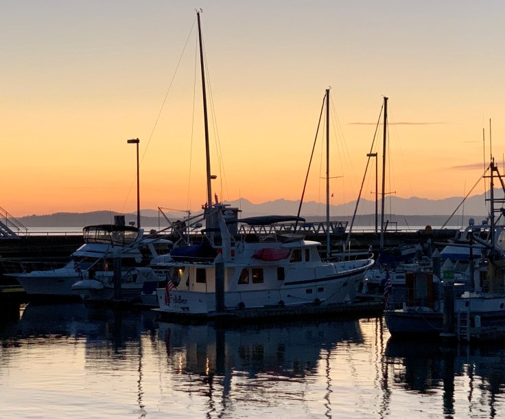 319AABED-43D9-4B48-A512-6E9F5B852B67_1_201_a