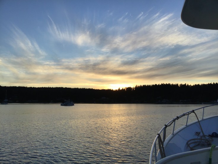 354DD0A0-7C83-435A-A8C2-7BB727B020FF