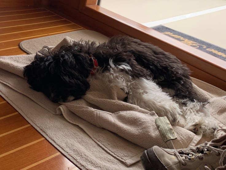 433F4024-AFB8-4A20-9FD1-B4C0673BD30E_1_101_o