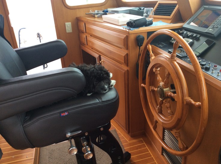 9C3D44AF-A17D-4F41-A05C-71C89E44E8E2