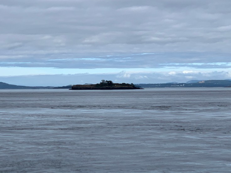 33F29031-3B2F-43F1-AE9F-D4F3C21852C8