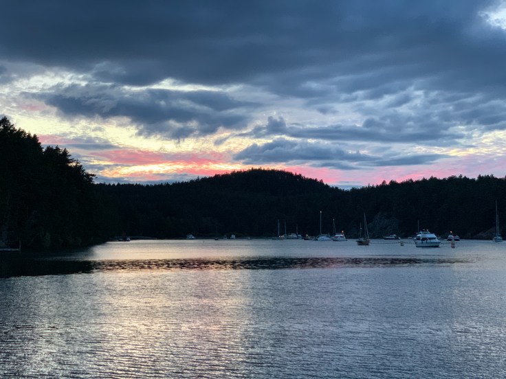 893F6E72-5E2E-4A0A-B209-94FE172A4751